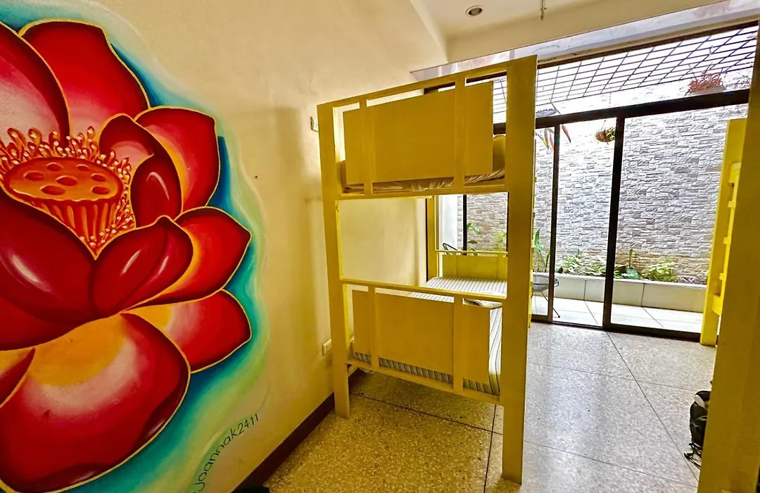 Stray Cat Hostel-1