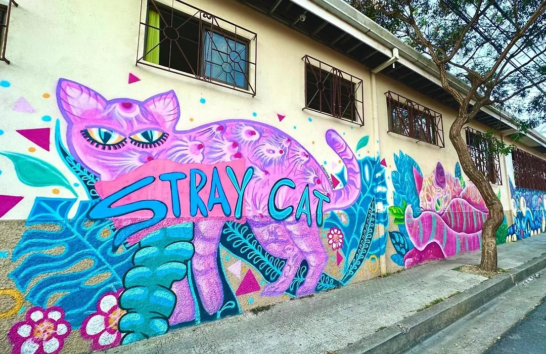 Stray Cat Hostel-1
