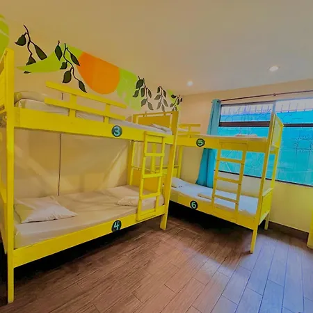 Stray Cat Hostel-3