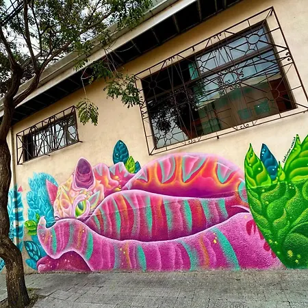 Stray Cat Hostel-2